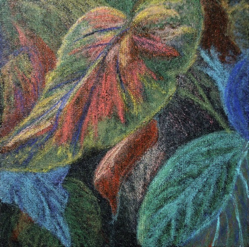 Leaf Variations 3
12” x 12”
pastel & acrylic on canvas
©2015